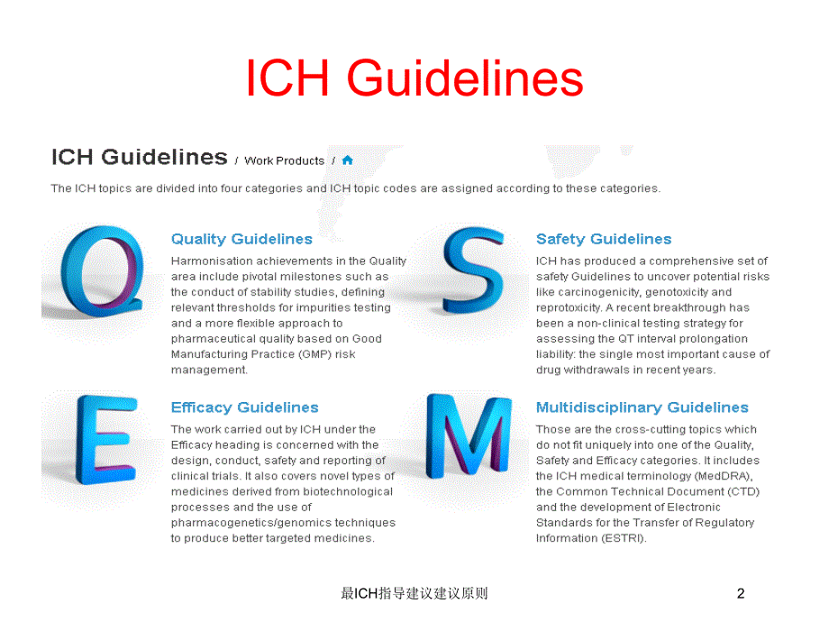 最ich指导建议建议原则培训课件_第2页