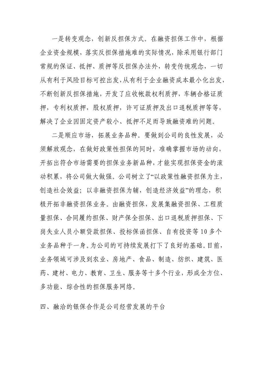 融资性担保公司承诺书和经营发展战略和规划_第5页