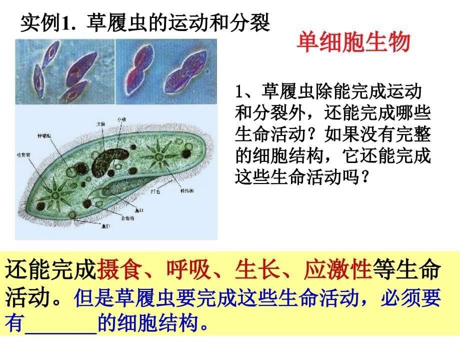 高一生物必修一第一章第一节ppt课件_第5页