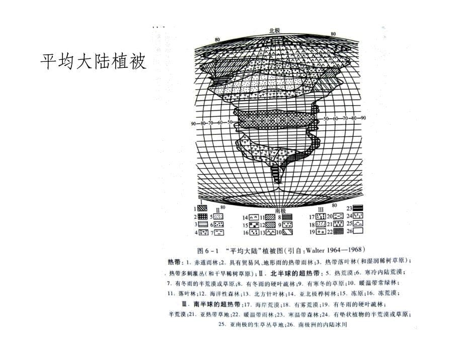 植物地理学：第六章 世界植被分规律与植被区划_第5页