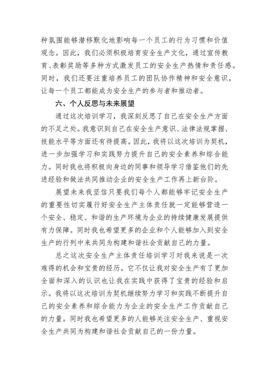 参加安全生产主体责任培训学习心得体会_第3页