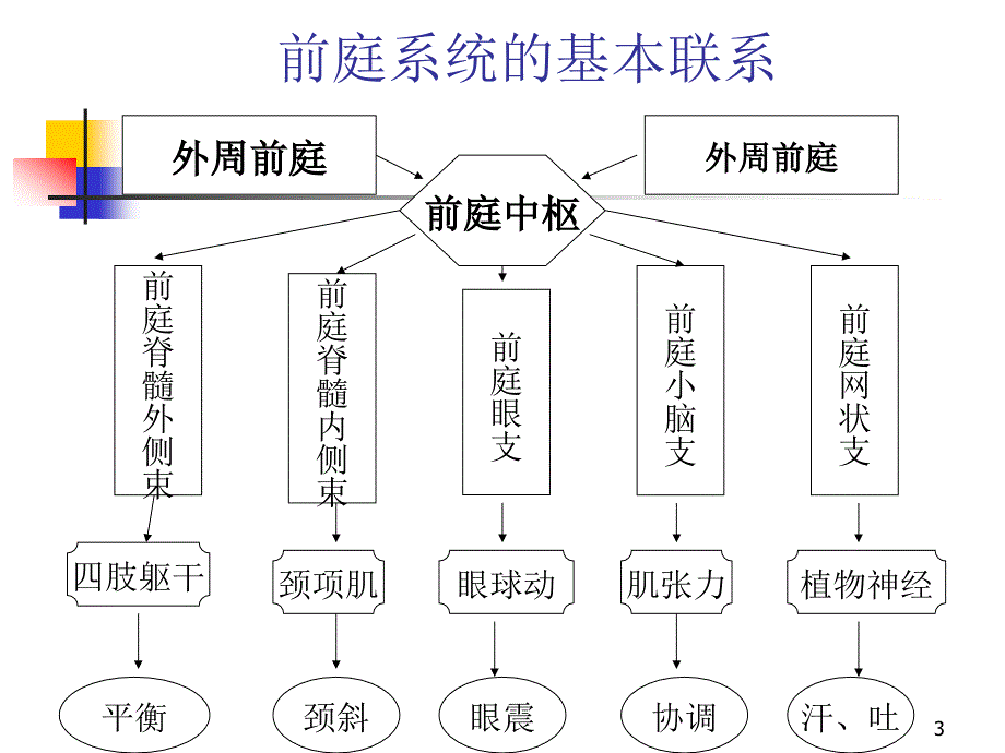 眩晕鉴别诊断课件.ppt_第3页