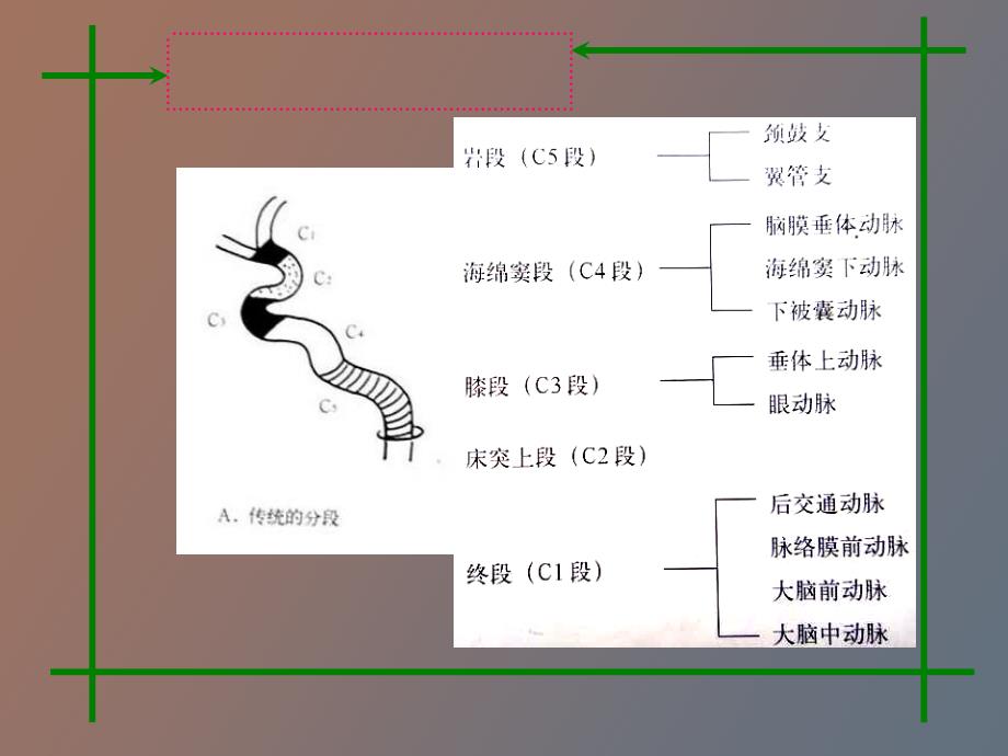 头颈部血管的ctamra诊断_第3页